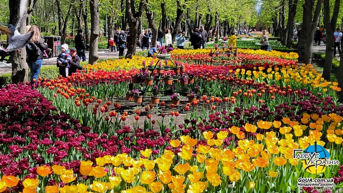 кропивницький парад тюльпанів травень тур із Запоріжжя
